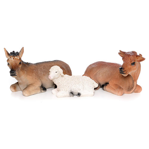 Presepe 11 pz cm 50 resina dipinta 5