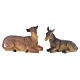 Presepe resina 20,5 cm - 8 statue s6
