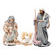 Nativity scene set of 6 pieces in resin sized 20 cm country style s2