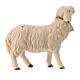 Owca z dzwoneczkiem szopka Original drewno malowane Val Gardena 10 cm s2
