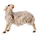 Sheep Scratching Itself, 10 cm Original Nativity model, in painted Valgardena wood s1