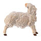 Sheep Scratching Itself, 10 cm Original Nativity model, in painted Valgardena wood s2