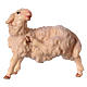 Mouton qui se gratte pour crèche Original bois peint Val Gardena 12 cm s1