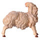 Mouton qui se gratte pour crèche Original bois peint Val Gardena 12 cm s2