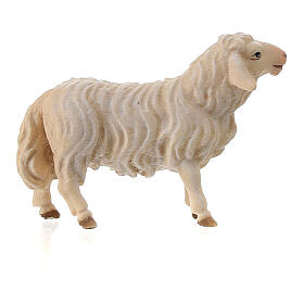 Sheep looking forward Original Nativity Scene in painted wood from Valgardena 10 cm