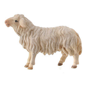 Sheep Looking Forward, 10 cm Original Nativity model, in painted Valgardena wood