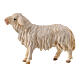 Sheep Looking Forward, 10 cm Original Nativity model, in painted Valgardena wood s1