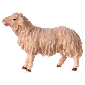 Sheep Looking Straight, 12 cm Original Nativity model, in painted Valgardena wood