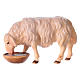 Owca pijąca szopka Original drewno malowane Val Gardena 10 cm s1