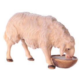 Sheep Drinking, 10 cm Original Nativity model, in painted Valgardena wood