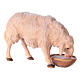 Sheep Drinking, 10 cm Original Nativity model, in painted Valgardena wood s2