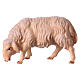 Owca jedząca szopka Original drewno malowane Val Gardena 12 cm s1