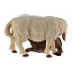 Mouton qui allaite avec agneau crèche Original bois peint Val Gardena 10 cm s2