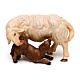 Mouton allaitant son agneau pour crèche Original bois peint Val Gardena 12 cm s1