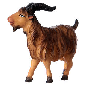 Brown Horn Goat, 12 cm Original Nativity model, in painted Valgardena wood