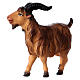 Brown Horn Goat, 12 cm Original Nativity model, in painted Valgardena wood s2