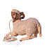 Montone inginocchiato presepe Original legno Valgardena 10 cm s5