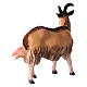 Goat to be milked, 12 cm nativity Original, in painted Valgardena wood s3