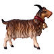 Cabra con campanilla belén Original madera pintada Val Gardena 12 cm de altura media s2