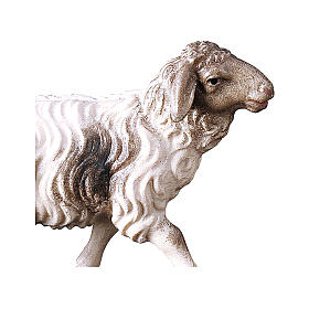Mouton bicolor qui court crèche Original bois peint Val Gardena 10 cm