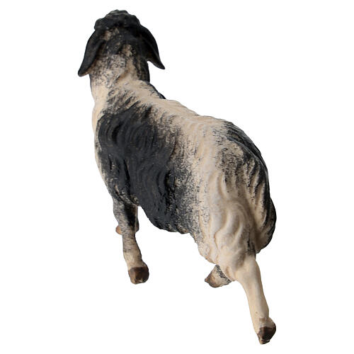 Mouton bicolor qui court crèche Original bois peint Val Gardena 10 cm 4