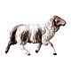 Mouton bicolor qui court crèche Original bois peint Val Gardena 10 cm s1