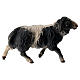 Pecora macchiata che corre presepe Original legno dipinto Valgardena 10 cm s1