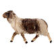 Mouton bicolor qui court pour crèche Original bois peint Val Gardena 12 cm s2
