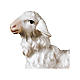 Agnello in piedi presepe Original legno dipinto Valgardena 10 cm s2