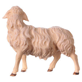 Sheep Gazing Right, 12 cm Original Nativity model, in painted Valgardena wood