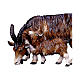 Cabra con cabrita belén Original madera pintada Val Gardena 10 cm de altura media s2