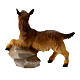 Young Goat on Rock, 10 cm Original Nativity model, in painted Valgardena wood s3