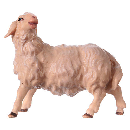 Sheep gazing left, 12 cm Original Nativity model, in painted Valgardena wood 1