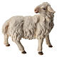 Sheep looking behind, 10 cm Original Nativity model, in painted Valgardena wood s3