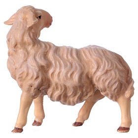 Sheep looking back, Original Nativity Scene in painted wood from Valgardena 12 cm