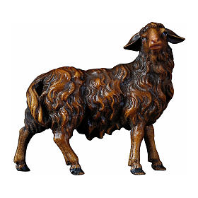 Pecora di colore scuro che guarda a destra presepe Original legno Valgardena 10 cm