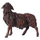 Mouton de couleur foncée qui regarde à droite Original crèche bois peint Val Gardena 12 cm s2