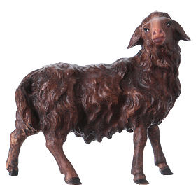 Pecora di colore scuro che guarda a destra presepe Original legno Valgardena 12 cm