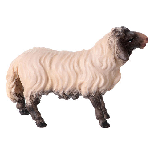 Mouton qui regarde devant avec tête foncée Original crèche bois peint Val Gardena 10 cm 2