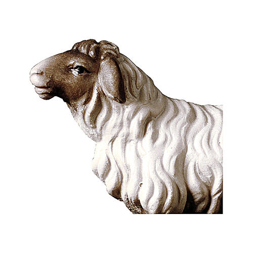 Pecora che guarda avanti con testa scura presepe Original legno Valgardena 10 cm 2