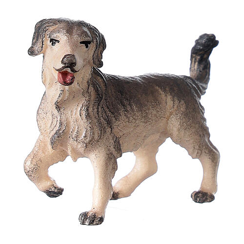 Perro de pastoreo belén Original madera pintada Val Gardena 10 cm de altura media 3