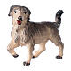 Perro de pastoreo belén Original madera pintada Val Gardena 10 cm de altura media s3