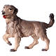 Perro de pastoreo belén Original madera pintada Val Gardena 12 cm de altura media s1