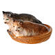 Gatti nel cesto presepe Original legno dipinto Valgardena 10 cm s2