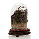 Crèche dans une cloche en verre avec milieu, 20 cm s2