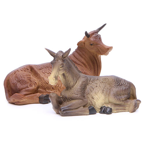 Natividad con buey y burro 30 cm resina 4