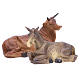 Natividad con buey y burro 30 cm resina s4