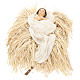 Natividad representada María arrodillada 55 cm estilo provenzal s3