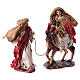 Flight into Egypt in 2 pieces, resin and fabric, red mantles 24 cm s4