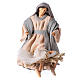Nativity 20 cm resin and grey pink cloth s2